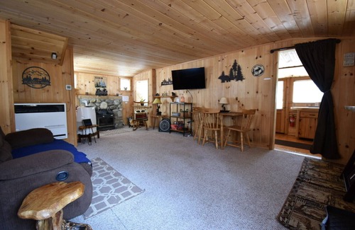 Idyllwild Cabin | Pet friendly cabin-Fully fenced yard! Pets stay free!
