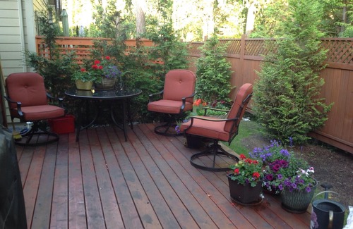 Regional District of Nanaimo Cabin | Pet Friendly 2 bedroom plus loft, in Parksville's beautiful resort area