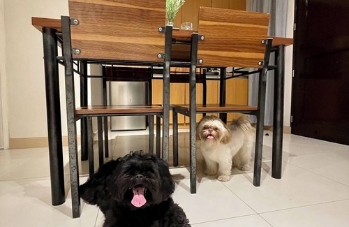 Poblacion District Condo | Pet Friendly 2BR Condo with PS4 near Abreeza Mall
