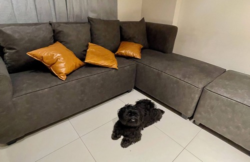 Poblacion District Condo | Pet Friendly 2BR Condo with PS4 near Abreeza Mall