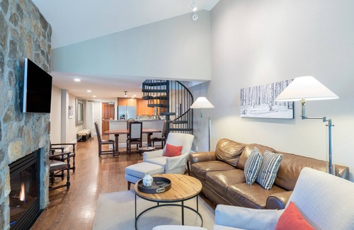 Telluride Condo | Pet-Friendly 3-Bedroom Luxury Retreat at the River Club