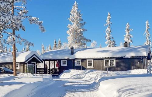 Trysil House | Pet Friendly Home In Østby With Wifi