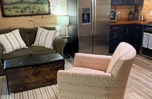 Mineral Bluff Cabin | Pet Friendly Tiny Home on a trout stream in the Blue Ridge Mountains