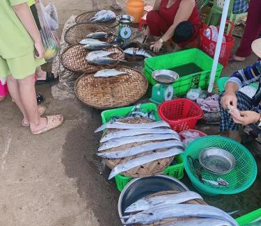 Song Cau House | phòng mùa hạ