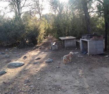Tecate Municipality Other | Piñoneras del cóndor