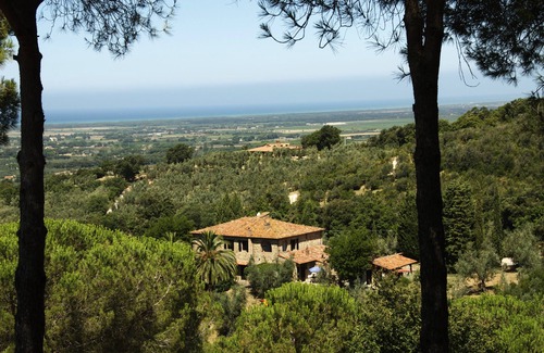Castagneto Carducci Cottage | "Piccola" rustic cottage, garden, sea view, 6 km to the sea
