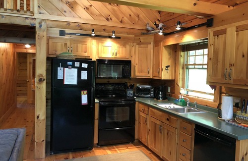 Newcastle House | Picturesque Lakefront Log Home with Private Dock - Close to everything!