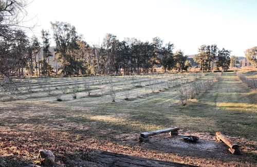 Eurunderee Cottage | Pieter van Gent Winery Bushman's Cottage