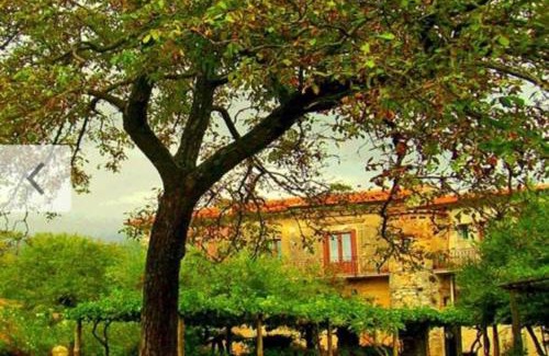 Trentinara Bed & Breakfast | PietrAnticA