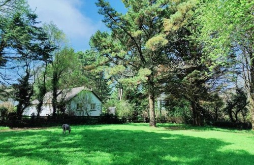 Goonhavern House | Pine Croft Cottage - sleeps 4, tucked away in the woodland, 5 minutes from beach