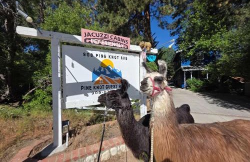 The Village House | Pine Knot Guest Ranch