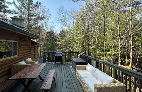 Tustin Cabin | Pine River Lodge - Hiking, Fishing, BBQ, AC, Wifi on over 40 acres