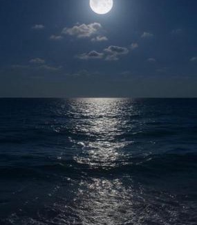 Al Hadd Bed & Breakfast | Pink Beaches Guest Houses