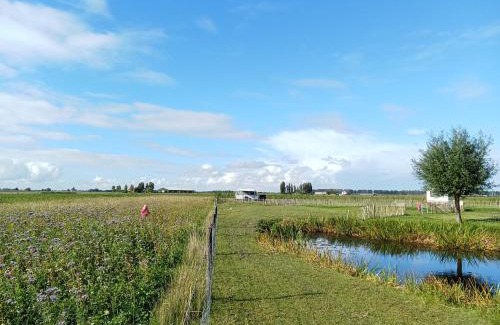Klundert Other | Pipowagen boerderij de schans