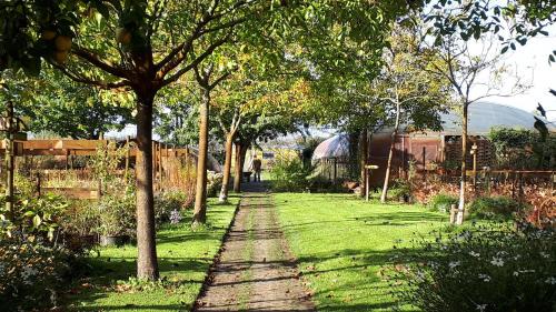 Zaltbommel Other | Pipowagen Overnachting Het Houten Huis
