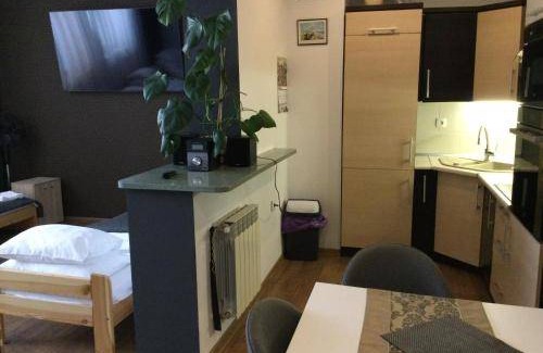 Kroscienko nad Dunajcem Apartment | 30 m² Apartment ∙ 5 guests