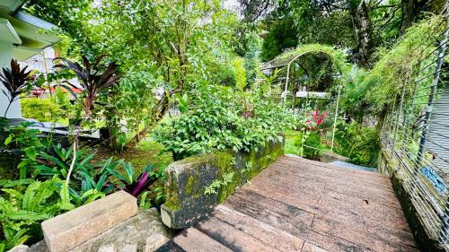 Primrose House | PLACE 236