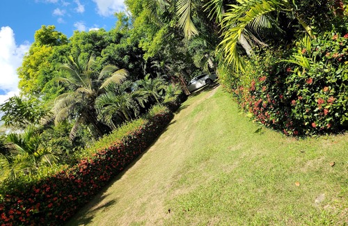 Pedro Brand Villa | Pleasure Villa