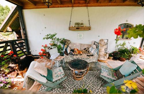 Zawady Oleckie House | Pod tulipanem nad jeziorem