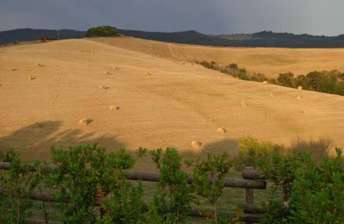 Volterra House | Podere San Luigi - Pet Friendly