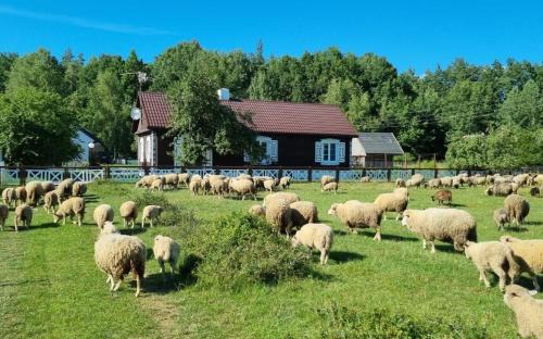 gmina Czeremcha House | Podlaski Zakątek
