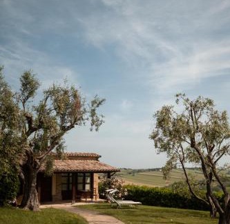 Monte San Vito Apartment | Poggio Antico