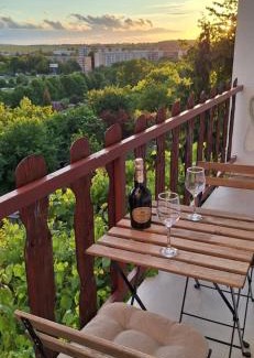 Chrudim House | Pokoj s krásným výhledem, vlastním balkónem a soukromou koupelnou