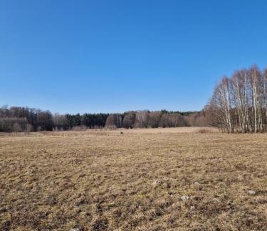 gmina Kampinos Other | Pole namiotowe Chesterfield