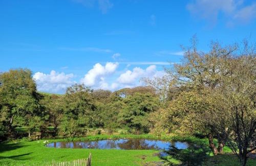 Blaencelyn House | Ponycob hot tub 2 bed ensuite