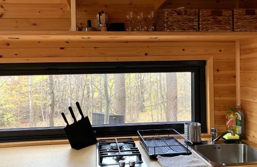 Matraszentlaszlo Apartment | POP Tiny House Mátra