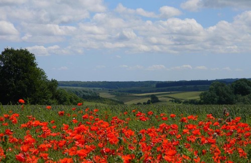 Chedworth Other | Poppy Glamping Pod