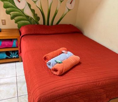 Xilitla House | Posada guitos