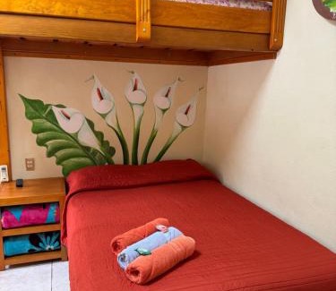 Xilitla House | Posada guitos