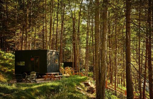 Gnaw Bone Other | Postcard Cabins Brown County