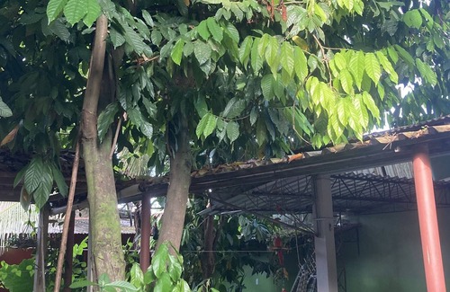 Presidente Figueiredo Bed & Breakfast | Pousada Nossa Casa Cama & Café