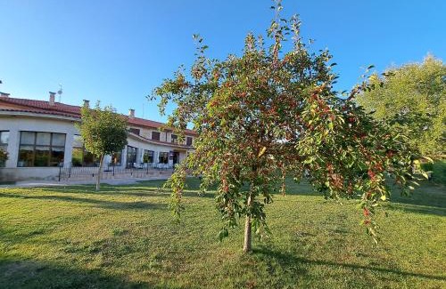 Caleruega Hotel | Prado de las merinas