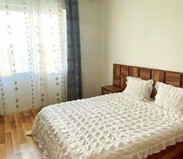 Sector 4 Apartment | Premier Flat with Parking