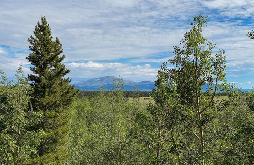 Warm Springs Cabin | Pricing Specials! Cozy Home w/Spacious Deck, Fishing Pond, Hiking - Misty Mountain Hideaway