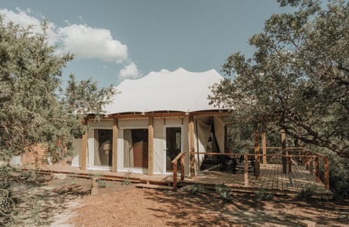 Johnson City Cabin | Primrose - Luxury Glamping Tent
