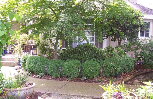 Loomis Apartment | Private And Quiet Country Folsom Lake, Riding Trails & More!