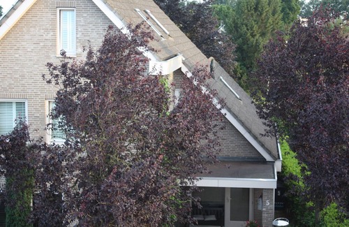 Vlijmen Apartment | Private apartment with with terrace 7 km from the center of Den Bosch!