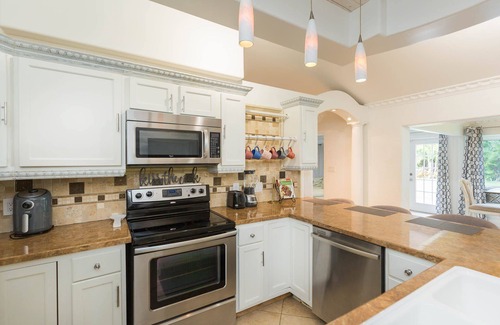 Limona Improvement House | Private Brandon Oasis Family home w/Full outdoor kitchen & Bar+ Game room n