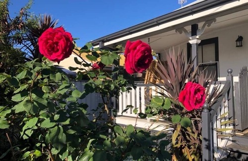 Newtown Cottage | Private Guest Suite in Charming Cottage c1910 in Newtown, near CBD/parks/museum.