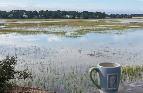 Saint Helena Island House | Private Marsh-front Home with View