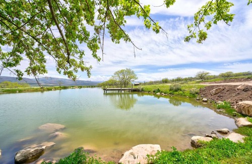 Mount Pleasant Cabin | Private Mtn Lodge w/Fish Pond and Private Hot Tub