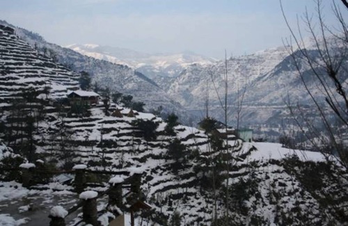 Chamba Resort | Private room ∙ 2 guests