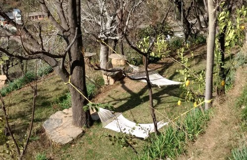 Chamba Resort | Private room ∙ 2 guests