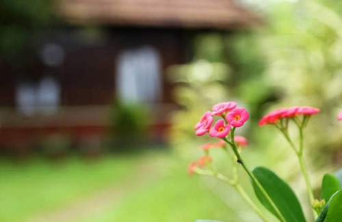 Andhakaranazhy Resort | Private room ∙ 3 guests