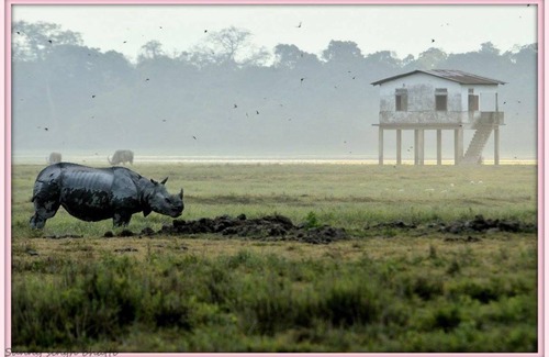 Golaghat Resort | Private room ∙ 3 guests