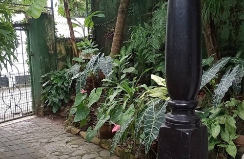 Kollupitiya Resort | Private room ∙ 2 guests